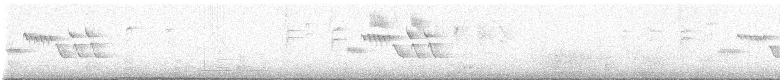 Troglodyte de Bewick - ML614353412