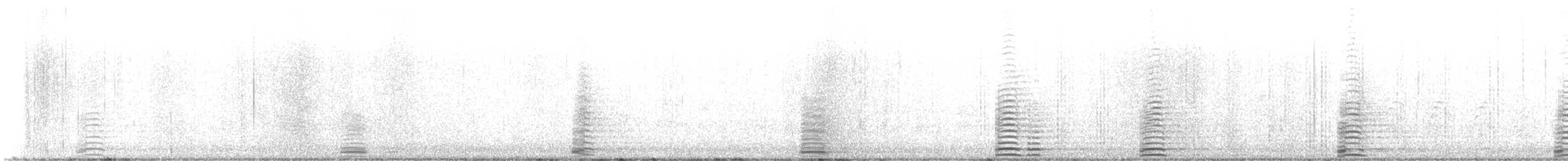 Cisne Trompetero - ML614353677