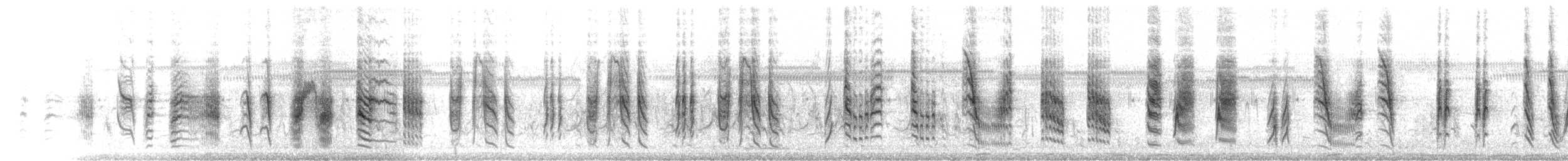 Common Reed Warbler (Caspian) - ML614357239