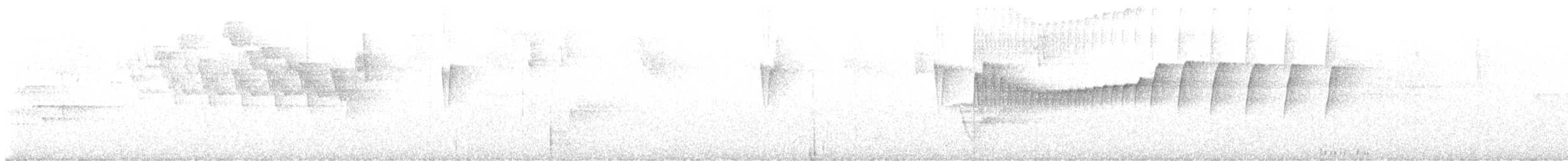 Черноухий тираннчик - ML614357280