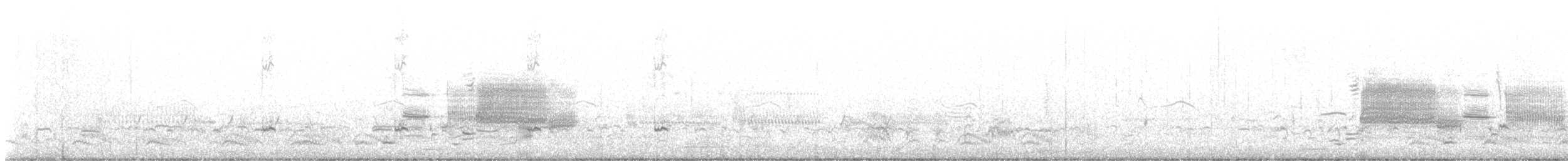 Sarcelle d'hiver (carolinensis) - ML614358289
