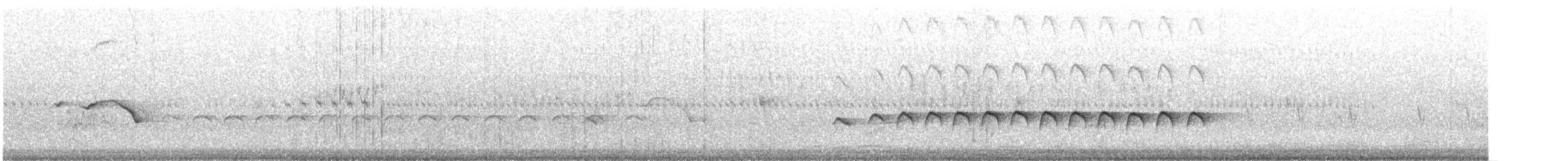 Méliphage flavescent - ML614358986