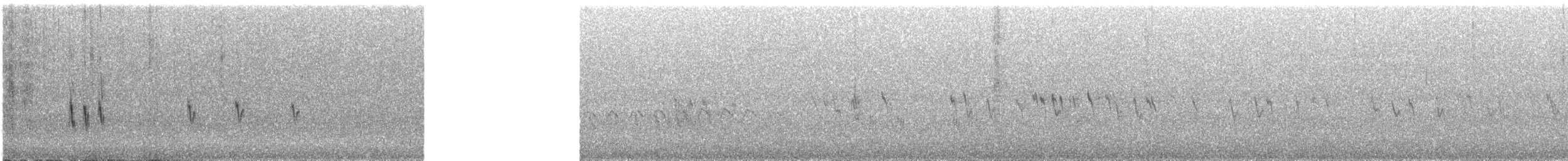 Pictorella Munia - ML614359099