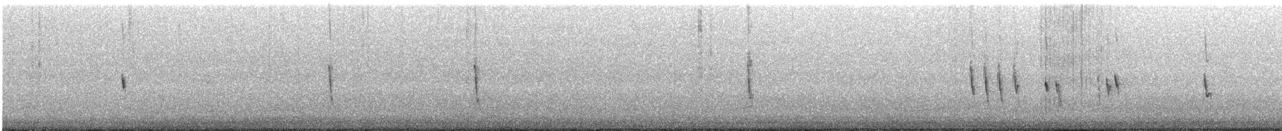 Pictorella Munia - ML614359100