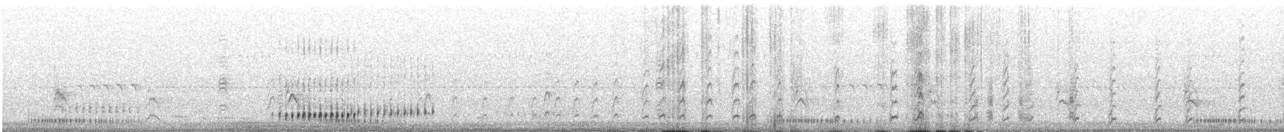 Pictorella Munia - ML614359102