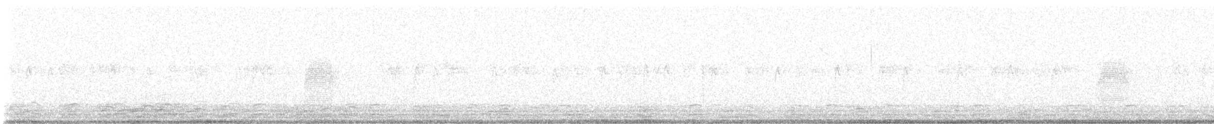 Kanadaschnepfe - ML614359312