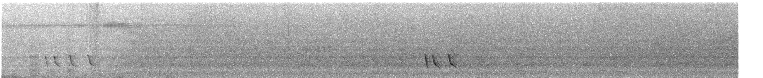 Черноухий медосос - ML614361271