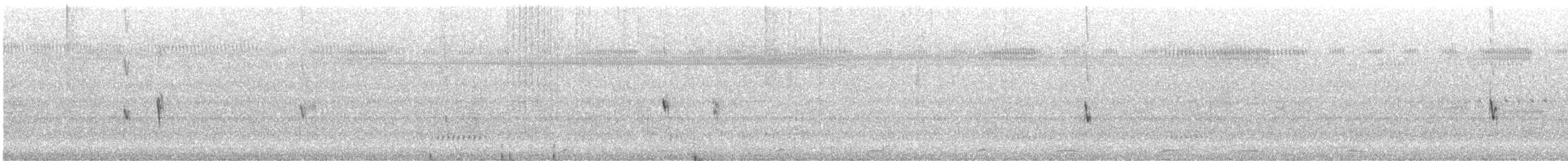 Capucin à poitrine blanche - ML614361302
