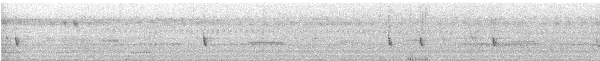 Pictorella Munia - ML614361303