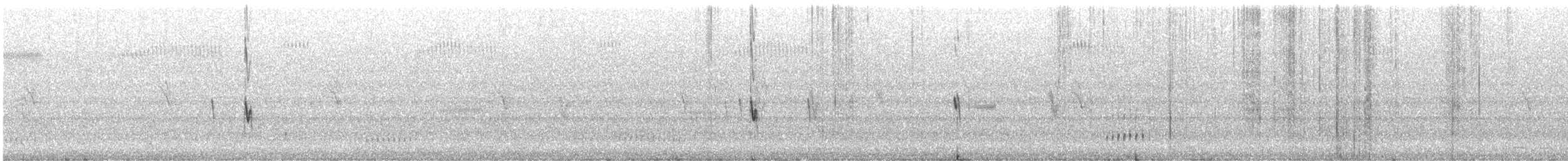 Pictorella Munia - ML614361304