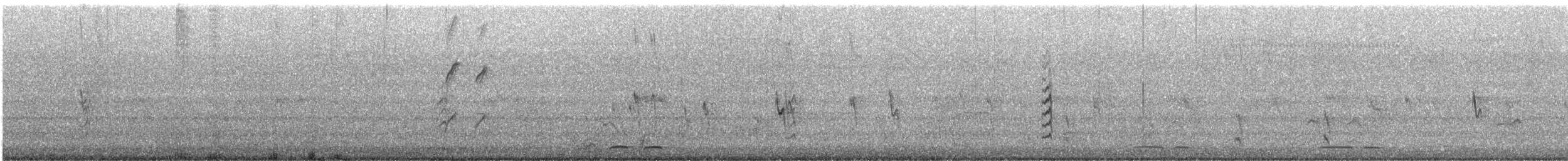 Pictorella Munia - ML614361307