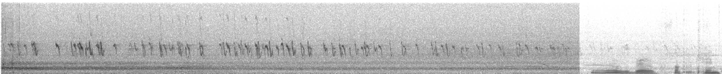 Pictorella Munia - ML614362216