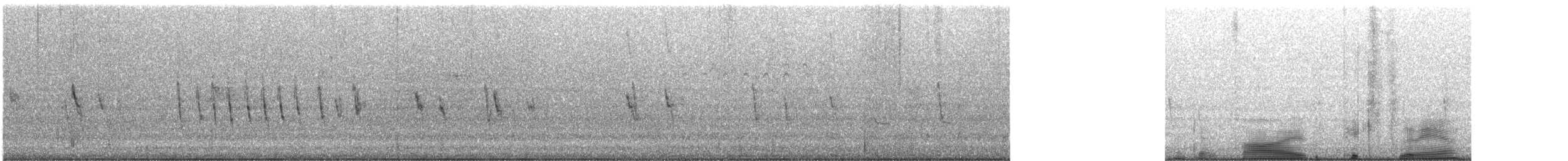 Pictorella Munia - ML614362217