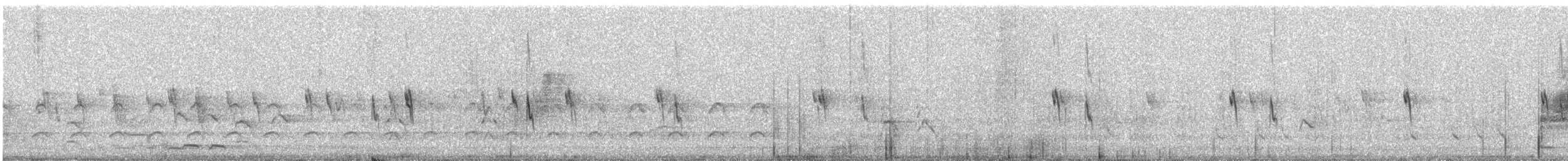 Pictorella Munia - ML614362219