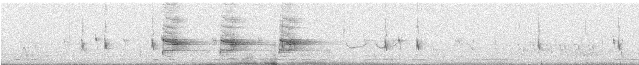 Pictorella Munia - ML614362228