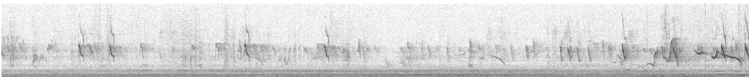 Pictorella Munia - ML614362232