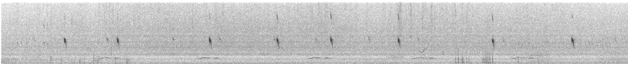 Pictorella Munia - ML614362234