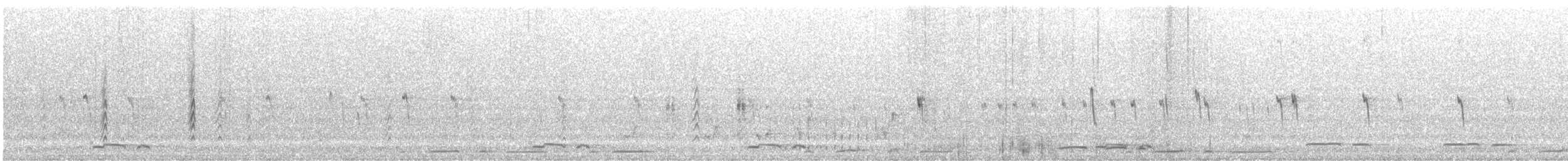 Pictorella Munia - ML614362247