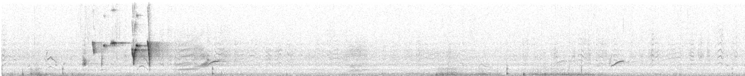 Чёрно-белая веерохвостка - ML614362269