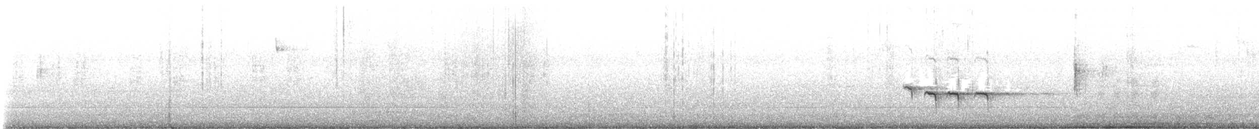 Yellow-rumped Warbler - ML614364344