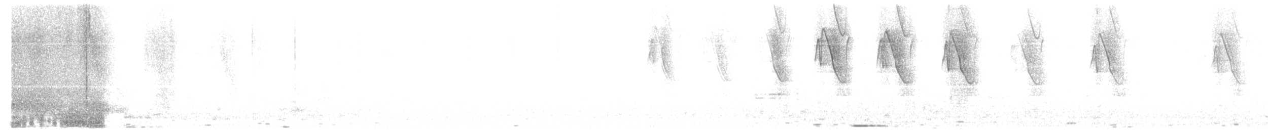 Чешуегорлый колибри-отшельник - ML614364472
