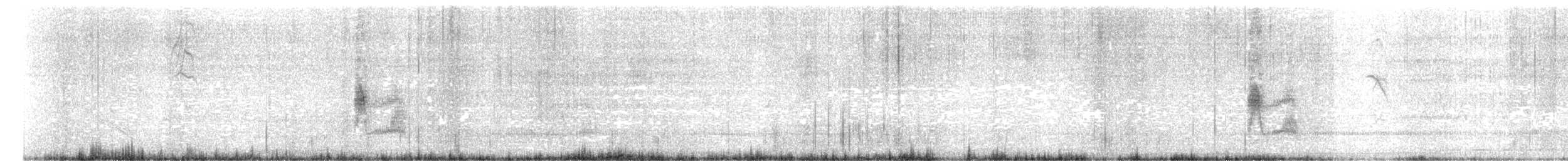 Fiofío Belicoso - ML614372556