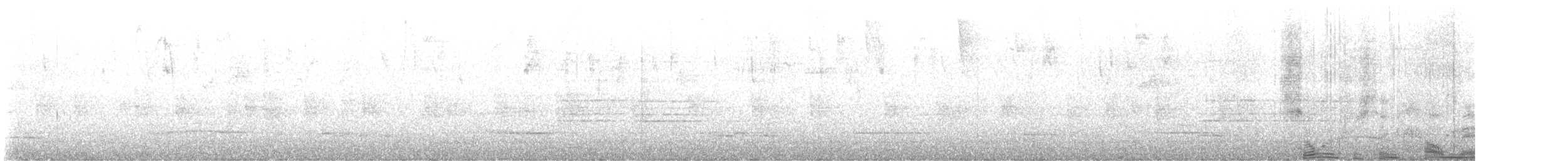 Дрізд чорнодзьобий (підвид debilis) - ML614373707