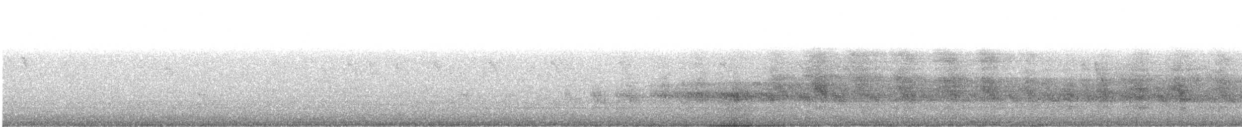White Tern (Pacific) - ML614375330
