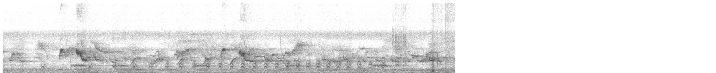 Малабарский серый ток - ML614376693