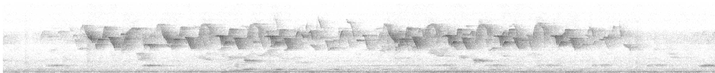 Карликовая нектарница - ML614376743