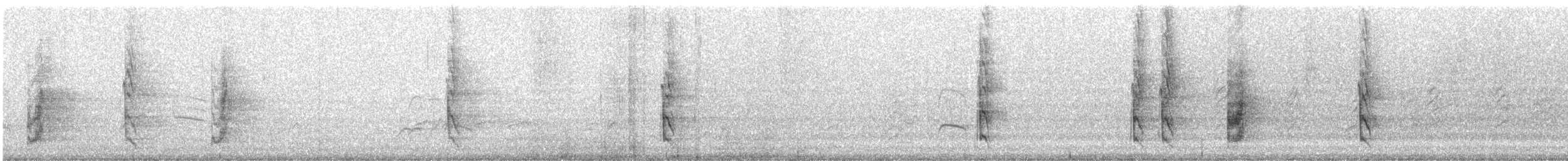 svarthetteparakitt - ML614381582
