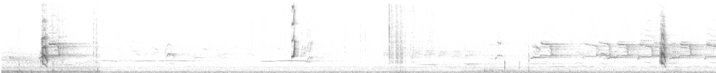 svarthetteparakitt - ML614381587