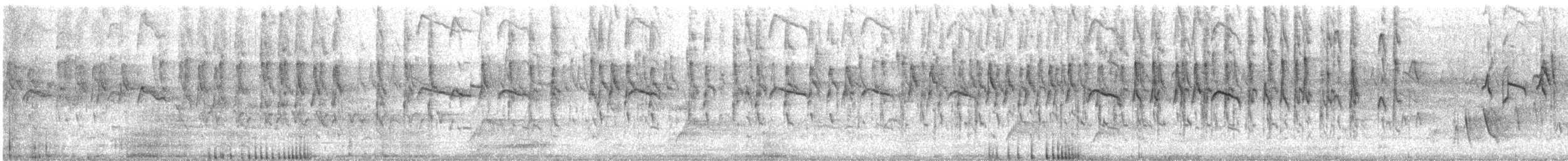 stripesittella - ML614381609