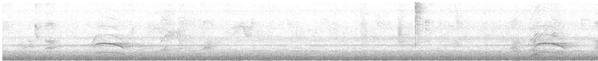 Black-tailed Tityra - ML614383566