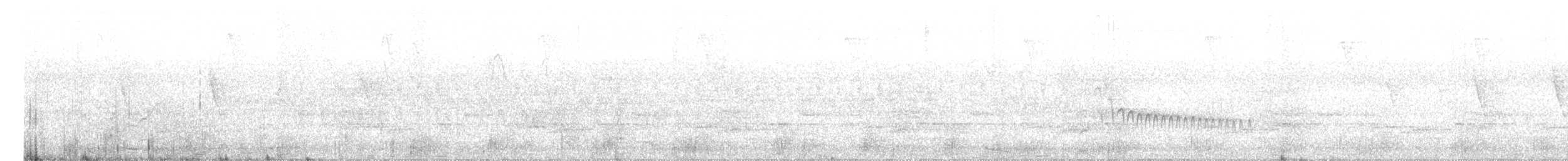 シマガシラオニキバシリ - ML614385365