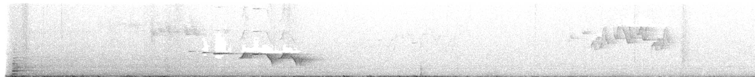 Gray-bellied Tesia - ML614385820