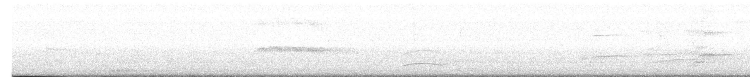 mørkhettetyrann (lawrenceii gr.) - ML614386868