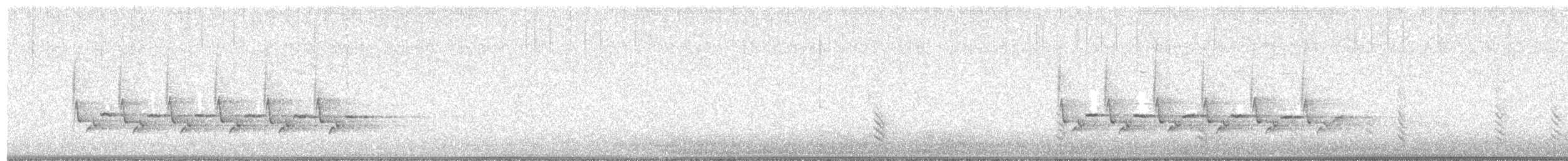 Поплітник каролінський - ML614387488