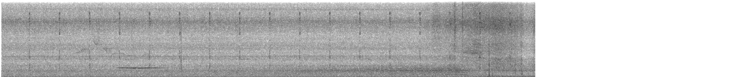 Thicket Tinamou - ML614395388