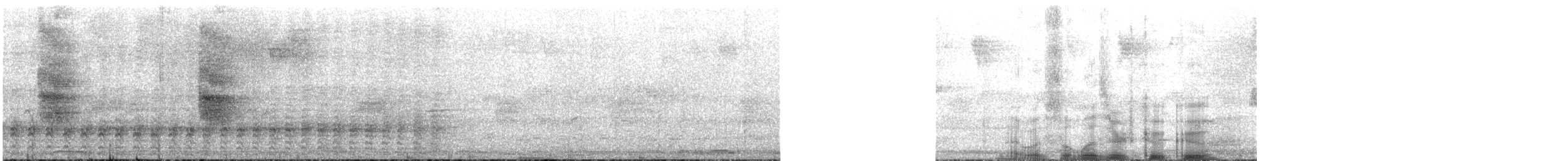 Puerto Rican Lizard-Cuckoo - ML614395993