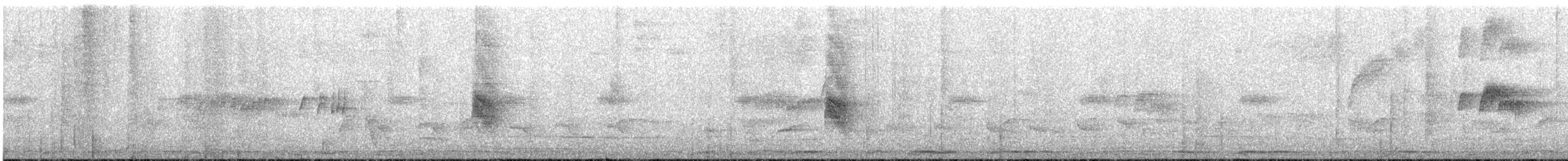 Puerto Rican Tody - ML614396028