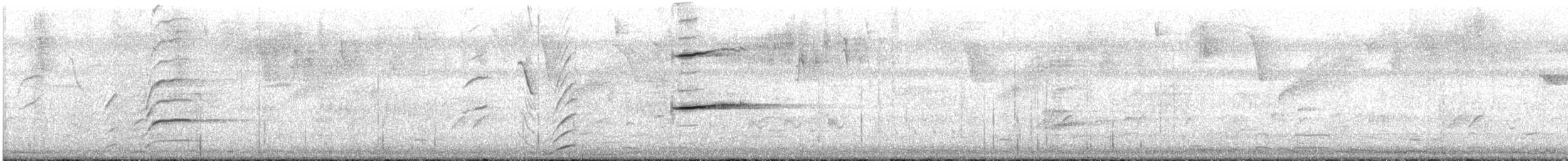 Greater Antillean Grackle - ML614396085