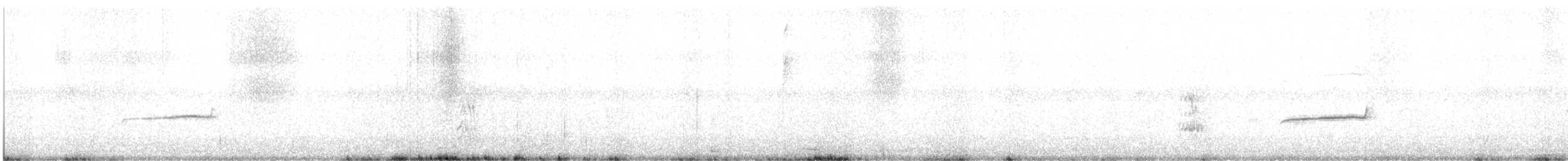 Тиранчик-тонкодзьоб південний - ML614399890