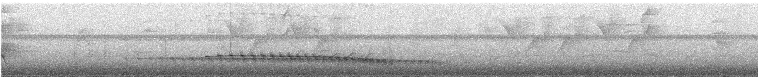 Weißstirn-Ameisenschnäpper - ML614406167