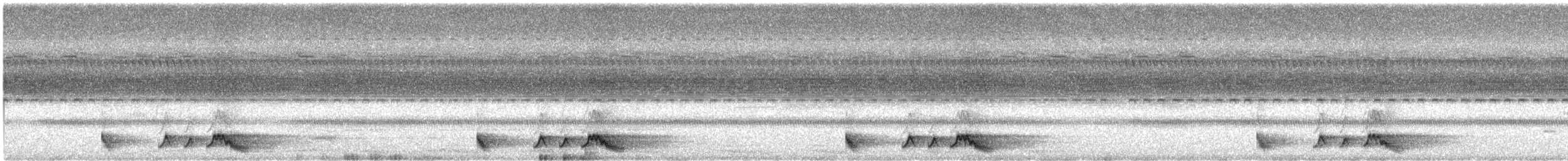 Rostnachtschwalbe - ML614407954