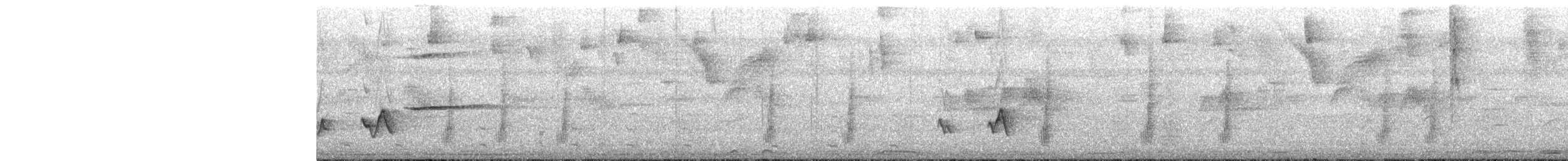 Black-whiskered Vireo - ML614408130