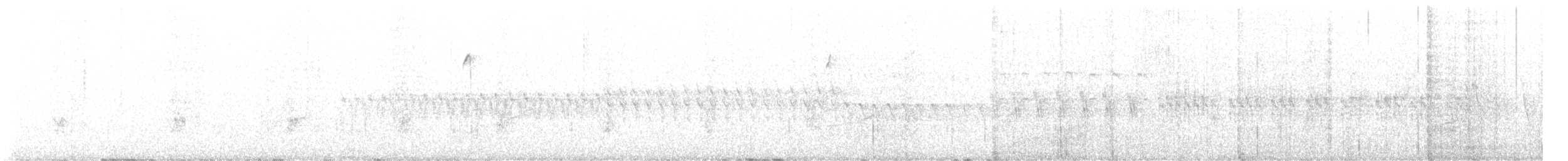 křivka bělokřídlá - ML614409144