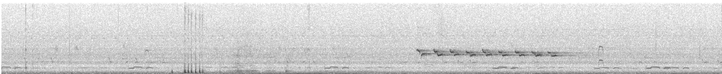 Белохвостая дриада - ML614410221