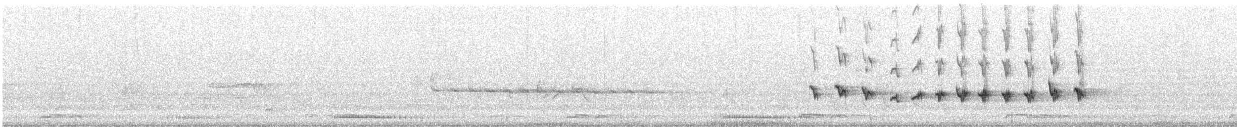 Белохвостая дриада - ML614410224