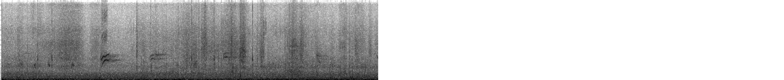 Oriole masqué - ML614410574